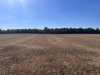 Property photo 33 - LAND AUCTION - 109.5+/- ACRES OFFERED IN 8 TRACTS IN ALLEN COUNTY, INDIANA