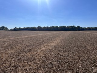 Property photo 35 - LAND AUCTION - 109.5+/- ACRES OFFERED IN 8 TRACTS IN ALLEN COUNTY, INDIANA