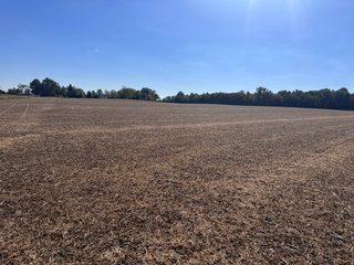 Property photo 36 - LAND AUCTION - 109.5+/- ACRES OFFERED IN 8 TRACTS IN ALLEN COUNTY, INDIANA