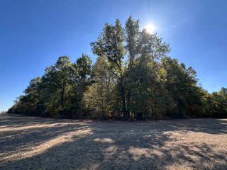 Property photo 42 - LAND AUCTION - 109.5+/- ACRES OFFERED IN 8 TRACTS IN ALLEN COUNTY, INDIANA