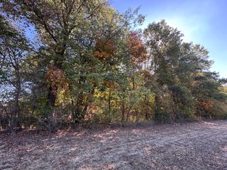 Property photo 43 - LAND AUCTION - 109.5+/- ACRES OFFERED IN 8 TRACTS IN ALLEN COUNTY, INDIANA