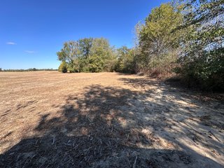 Property photo 44 - LAND AUCTION - 109.5+/- ACRES OFFERED IN 8 TRACTS IN ALLEN COUNTY, INDIANA