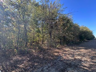 Property photo 45 - LAND AUCTION - 109.5+/- ACRES OFFERED IN 8 TRACTS IN ALLEN COUNTY, INDIANA