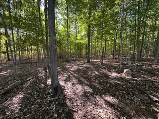 Property photo 46 - LAND AUCTION - 109.5+/- ACRES OFFERED IN 8 TRACTS IN ALLEN COUNTY, INDIANA