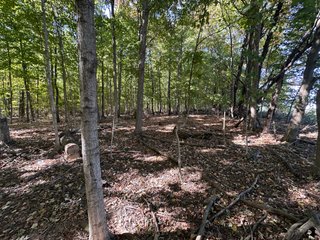 Property photo 47 - LAND AUCTION - 109.5+/- ACRES OFFERED IN 8 TRACTS IN ALLEN COUNTY, INDIANA