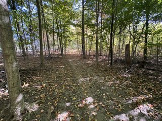 Property photo 48 - LAND AUCTION - 109.5+/- ACRES OFFERED IN 8 TRACTS IN ALLEN COUNTY, INDIANA