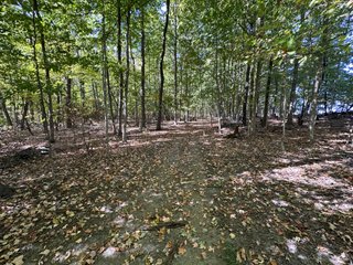 Property photo 49 - LAND AUCTION - 109.5+/- ACRES OFFERED IN 8 TRACTS IN ALLEN COUNTY, INDIANA