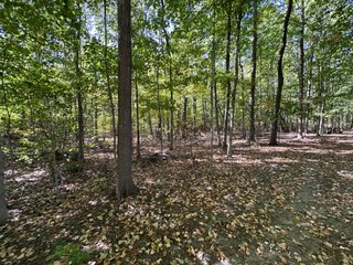 Property photo 50 - LAND AUCTION - 109.5+/- ACRES OFFERED IN 8 TRACTS IN ALLEN COUNTY, INDIANA