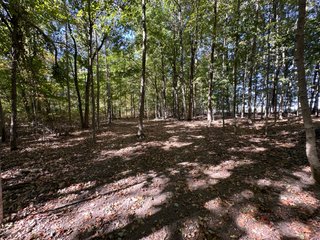 Property photo 51 - LAND AUCTION - 109.5+/- ACRES OFFERED IN 8 TRACTS IN ALLEN COUNTY, INDIANA