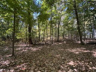 Property photo 52 - LAND AUCTION - 109.5+/- ACRES OFFERED IN 8 TRACTS IN ALLEN COUNTY, INDIANA