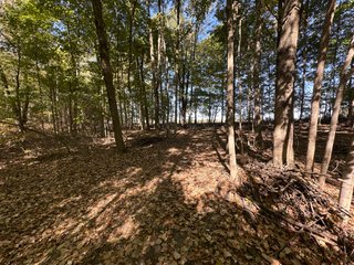 Property photo 53 - LAND AUCTION - 109.5+/- ACRES OFFERED IN 8 TRACTS IN ALLEN COUNTY, INDIANA