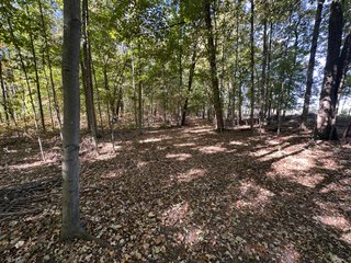 Property photo 54 - LAND AUCTION - 109.5+/- ACRES OFFERED IN 8 TRACTS IN ALLEN COUNTY, INDIANA