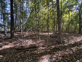 Property photo 55 - LAND AUCTION - 109.5+/- ACRES OFFERED IN 8 TRACTS IN ALLEN COUNTY, INDIANA
