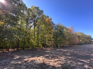 Property photo 57 - LAND AUCTION - 109.5+/- ACRES OFFERED IN 8 TRACTS IN ALLEN COUNTY, INDIANA