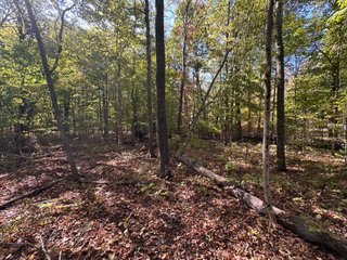 Property photo 58 - LAND AUCTION - 109.5+/- ACRES OFFERED IN 8 TRACTS IN ALLEN COUNTY, INDIANA