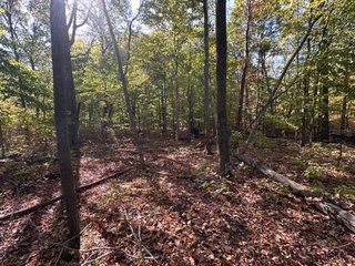 Property photo 59 - LAND AUCTION - 109.5+/- ACRES OFFERED IN 8 TRACTS IN ALLEN COUNTY, INDIANA