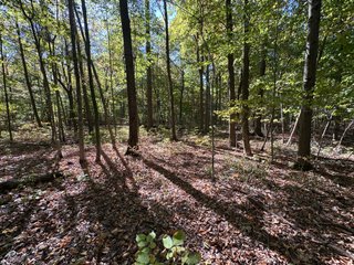 Property photo 60 - LAND AUCTION - 109.5+/- ACRES OFFERED IN 8 TRACTS IN ALLEN COUNTY, INDIANA