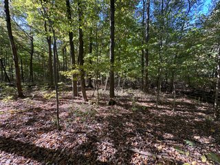 Property photo 61 - LAND AUCTION - 109.5+/- ACRES OFFERED IN 8 TRACTS IN ALLEN COUNTY, INDIANA