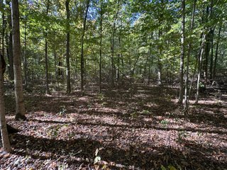 Property photo 63 - LAND AUCTION - 109.5+/- ACRES OFFERED IN 8 TRACTS IN ALLEN COUNTY, INDIANA