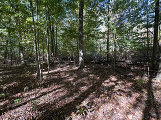 Property photo 64 - LAND AUCTION - 109.5+/- ACRES OFFERED IN 8 TRACTS IN ALLEN COUNTY, INDIANA