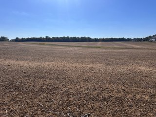 Property photo 66 - LAND AUCTION - 109.5+/- ACRES OFFERED IN 8 TRACTS IN ALLEN COUNTY, INDIANA
