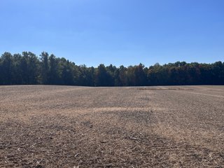 Property photo 69 - LAND AUCTION - 109.5+/- ACRES OFFERED IN 8 TRACTS IN ALLEN COUNTY, INDIANA