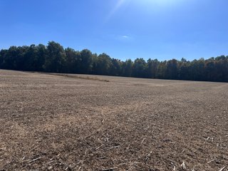 Property photo 70 - LAND AUCTION - 109.5+/- ACRES OFFERED IN 8 TRACTS IN ALLEN COUNTY, INDIANA