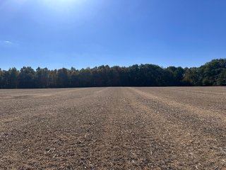 Property photo 71 - LAND AUCTION - 109.5+/- ACRES OFFERED IN 8 TRACTS IN ALLEN COUNTY, INDIANA