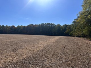 Property photo 72 - LAND AUCTION - 109.5+/- ACRES OFFERED IN 8 TRACTS IN ALLEN COUNTY, INDIANA