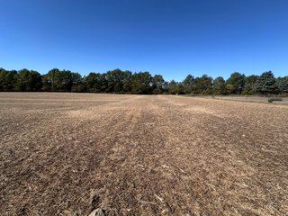 Property photo 78 - LAND AUCTION - 109.5+/- ACRES OFFERED IN 8 TRACTS IN ALLEN COUNTY, INDIANA