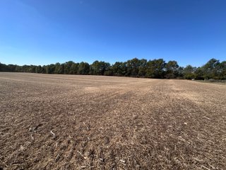 Property photo 79 - LAND AUCTION - 109.5+/- ACRES OFFERED IN 8 TRACTS IN ALLEN COUNTY, INDIANA