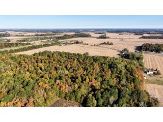 Property photo 3 - LAND AUCTION - 109.5+/- ACRES OFFERED IN 8 TRACTS IN ALLEN COUNTY, INDIANA
