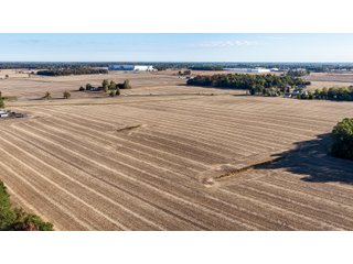 Property photo 6 - LAND AUCTION - 109.5+/- ACRES OFFERED IN 8 TRACTS IN ALLEN COUNTY, INDIANA