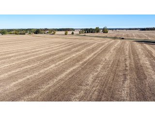 Property photo 7 - LAND AUCTION - 109.5+/- ACRES OFFERED IN 8 TRACTS IN ALLEN COUNTY, INDIANA