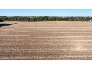 Property photo 8 - LAND AUCTION - 109.5+/- ACRES OFFERED IN 8 TRACTS IN ALLEN COUNTY, INDIANA