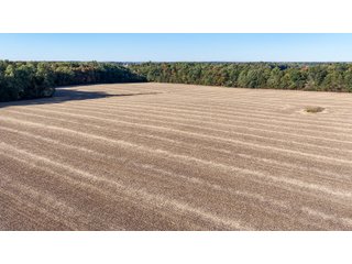 Property photo 9 - LAND AUCTION - 109.5+/- ACRES OFFERED IN 8 TRACTS IN ALLEN COUNTY, INDIANA