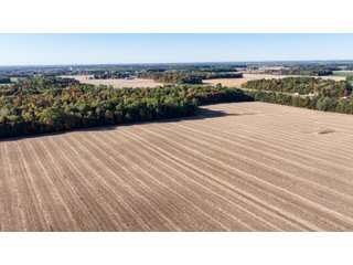 Property photo 10 - LAND AUCTION - 109.5+/- ACRES OFFERED IN 8 TRACTS IN ALLEN COUNTY, INDIANA