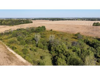 Property photo 13 - LAND AUCTION - 233.9+/- ACRES OFFERED IN 9 TRACTS IN HANCOCK COUNTY, INDIANA