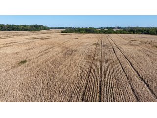 Property photo 18 - LAND AUCTION - 233.9+/- ACRES OFFERED IN 9 TRACTS IN HANCOCK COUNTY, INDIANA