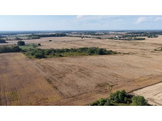 Property photo 39 - LAND AUCTION - 233.9+/- ACRES OFFERED IN 9 TRACTS IN HANCOCK COUNTY, INDIANA