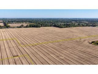 Property photo 6 - LAND AUCTION - 233.9+/- ACRES OFFERED IN 9 TRACTS IN HANCOCK COUNTY, INDIANA