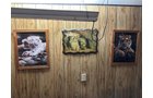 Property photo 399 - TIMED ONLINE ONLY PERSONAL PROPERTY AUCTION IN ALLEN COUNTY, INDIANA