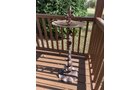 Property photo 600 - TIMED ONLINE ONLY PERSONAL PROPERTY AUCTION IN ALLEN COUNTY, INDIANA