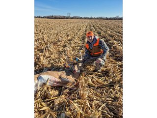 Property photo 38 - LAND AUCTION - 122+/- ACRES OFFERED IN 7 TRACTS IN HILLSDALE COUNTY, MICHIGAN