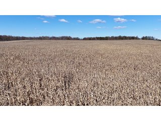 Property photo 22 - LAND AUCTION - 122+/- ACRES OFFERED IN 7 TRACTS IN HILLSDALE COUNTY, MICHIGAN