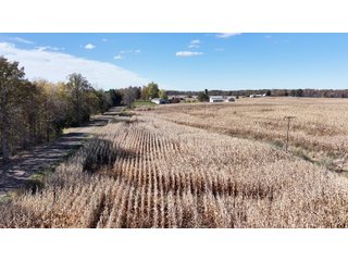 Property photo 21 - LAND AUCTION - 122+/- ACRES OFFERED IN 7 TRACTS IN HILLSDALE COUNTY, MICHIGAN