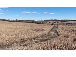 Property photo 20 - LAND AUCTION - 122+/- ACRES OFFERED IN 7 TRACTS IN HILLSDALE COUNTY, MICHIGAN