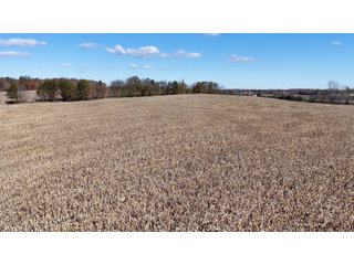 Property photo 19 - LAND AUCTION - 122+/- ACRES OFFERED IN 7 TRACTS IN HILLSDALE COUNTY, MICHIGAN
