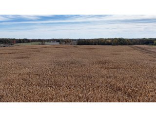Property photo 17 - LAND AUCTION - 122+/- ACRES OFFERED IN 7 TRACTS IN HILLSDALE COUNTY, MICHIGAN