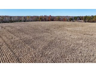 Property photo 16 - LAND AUCTION - 122+/- ACRES OFFERED IN 7 TRACTS IN HILLSDALE COUNTY, MICHIGAN
